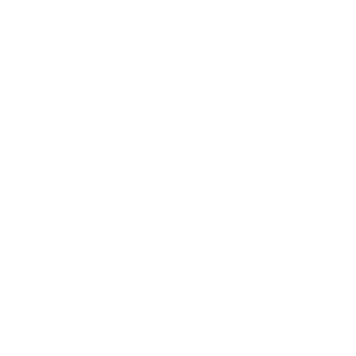 Anian